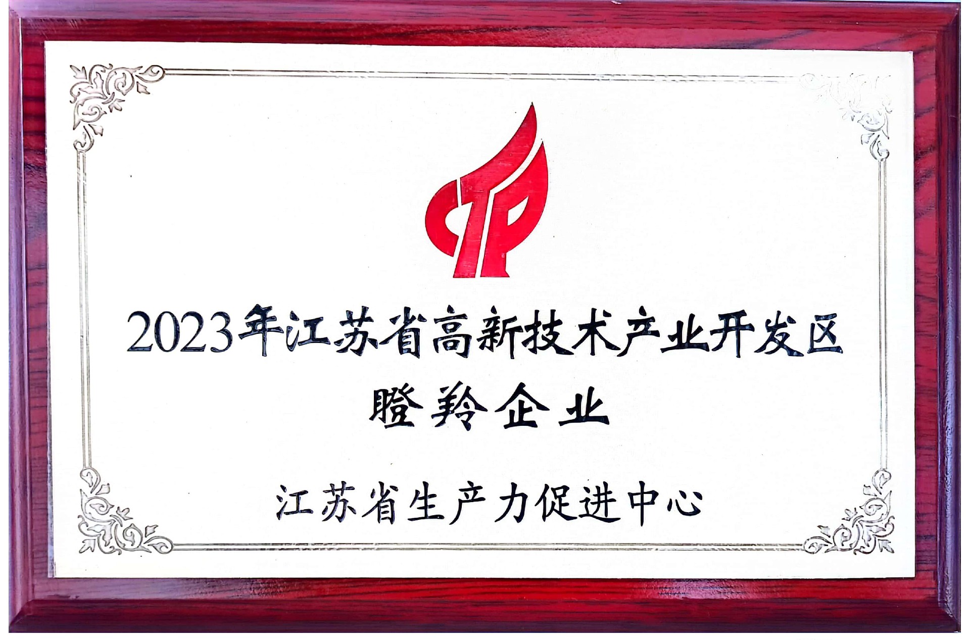 高新技术产业开发区瞪羚企业2023_01.jpg